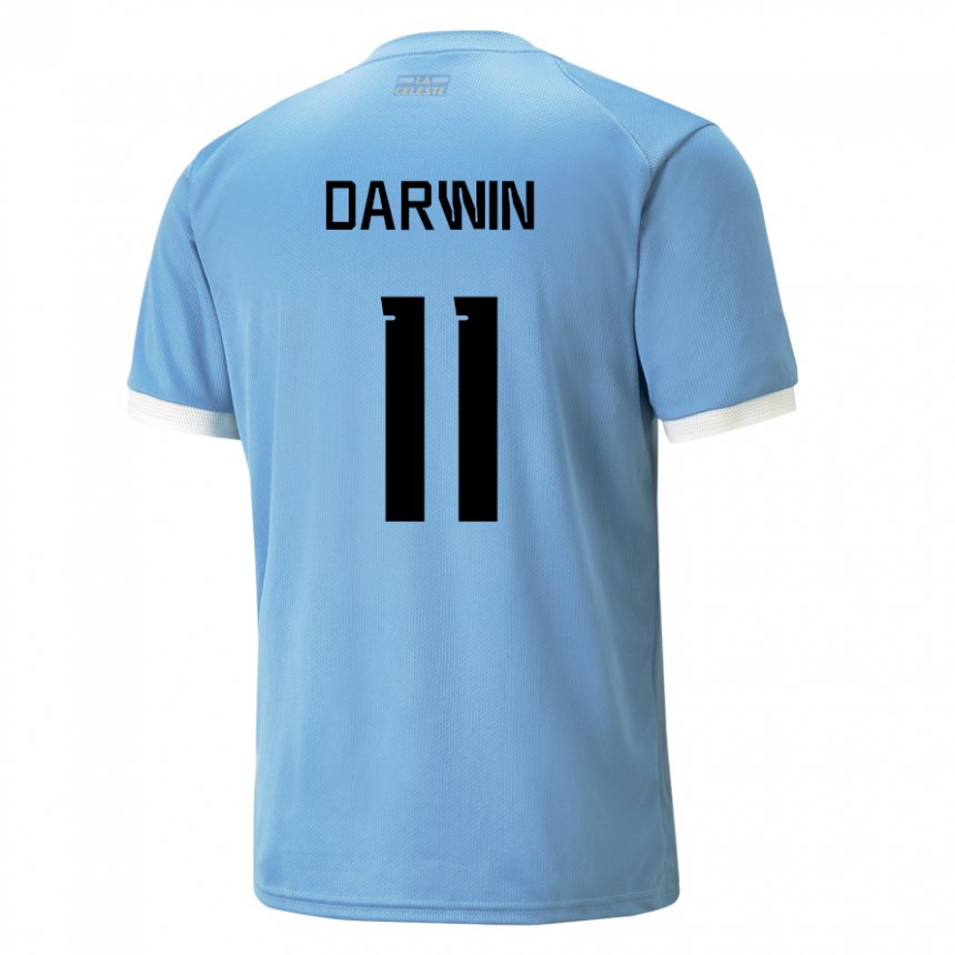 Criança Camisola Uruguaia Darwin Nunez #11 Azul Principal 22-24 Camisa