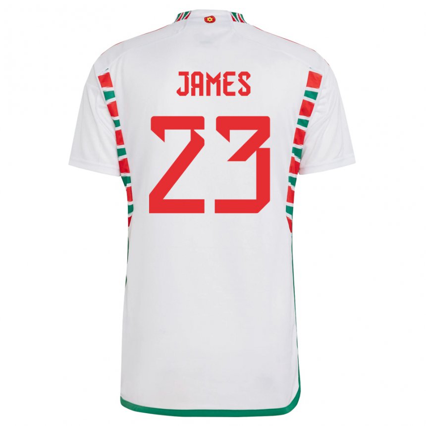 Criança Camisola Galesa Jordan James #23 Branco Alternativa 22-24 Camisa