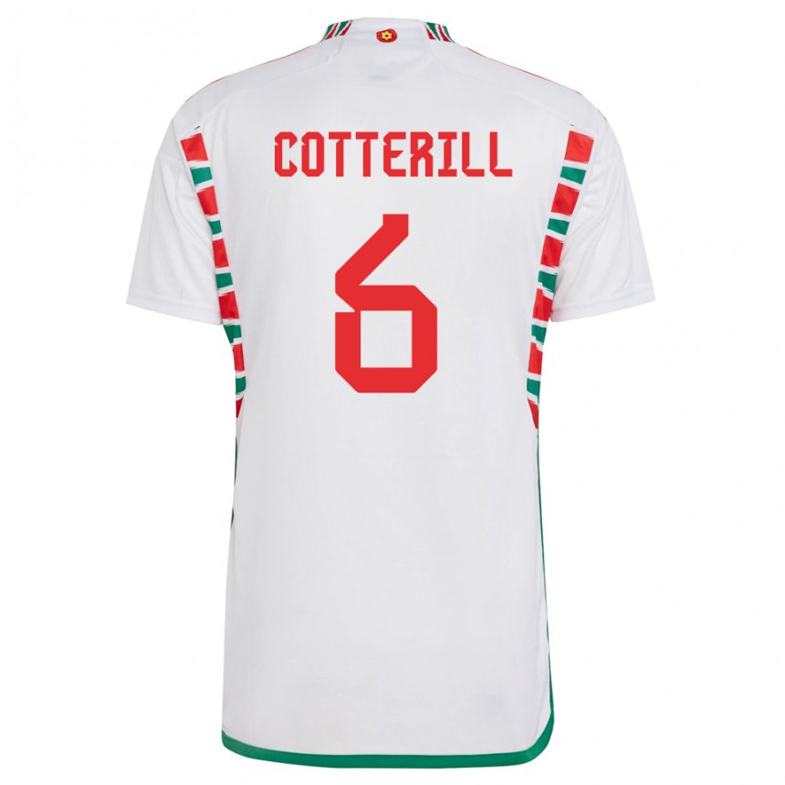 Homem Camisola Galesa Joel Cotterill #6 Branco Alternativa 22-24 Camisa