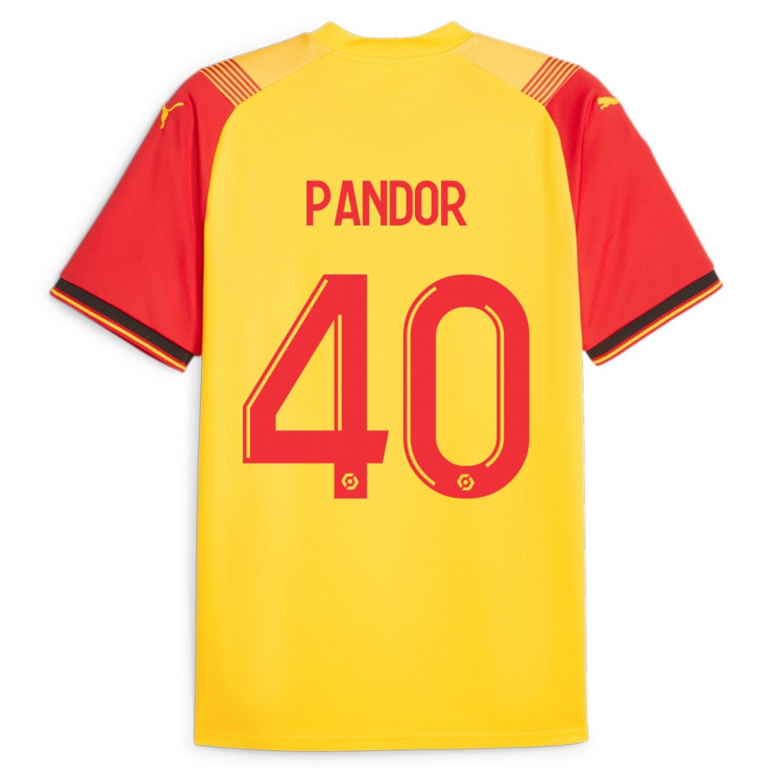 Criança Camisola Yannick Pandor #40 Amarelo Principal 2023/24 Camisa