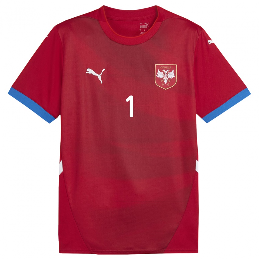 Criança Camisola Sérvia Marko Dmitrovic #1 Vermelho Principal 24-26 Camisa