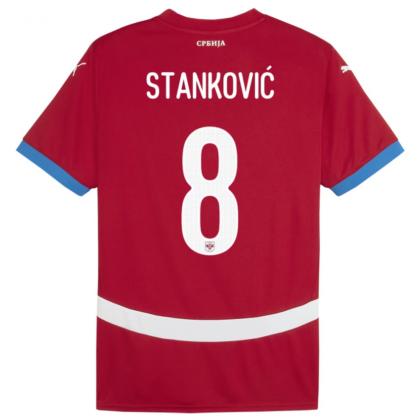 Criança Camisola Sérvia Aleksandar Stankovic #8 Vermelho Principal 24-26 Camisa