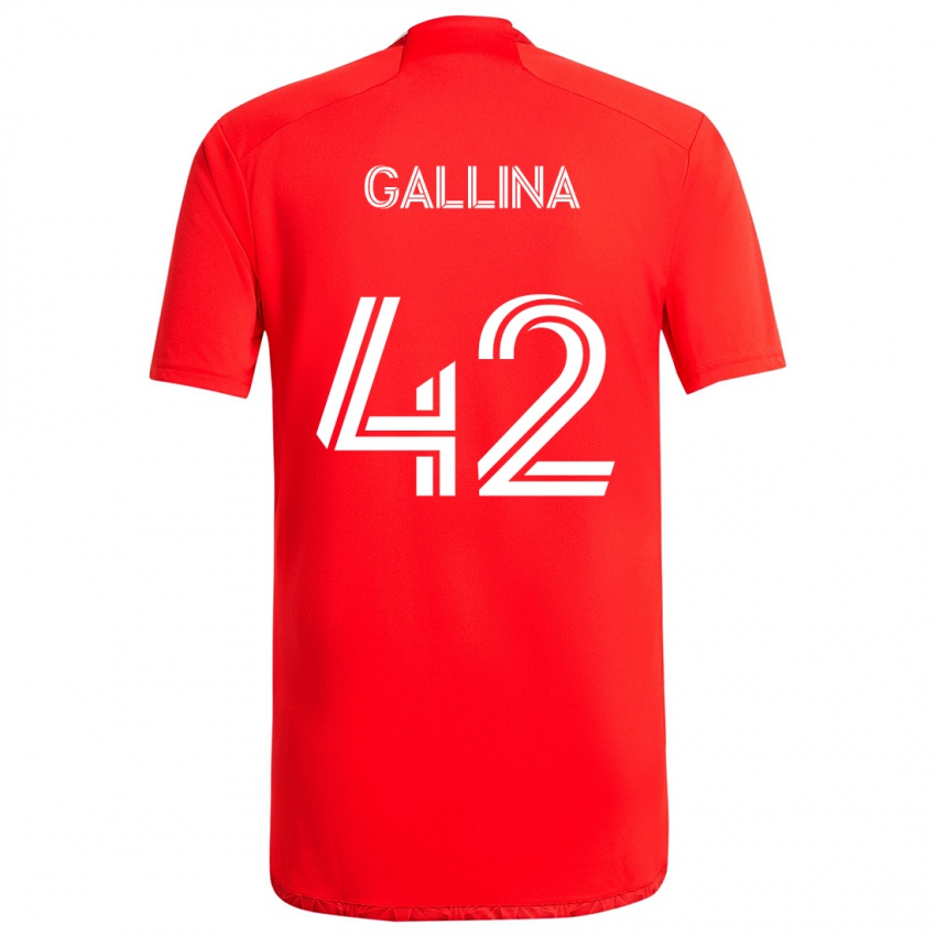 Criança Camisola Henrique Gallina #42 Vermelho Branco Principal 2024/25 Camisa