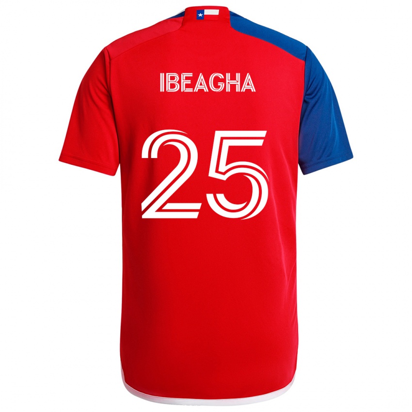 Homem Camisola Sebastien Ibeagha #25 Azul Vermelho Principal 2024/25 Camisa