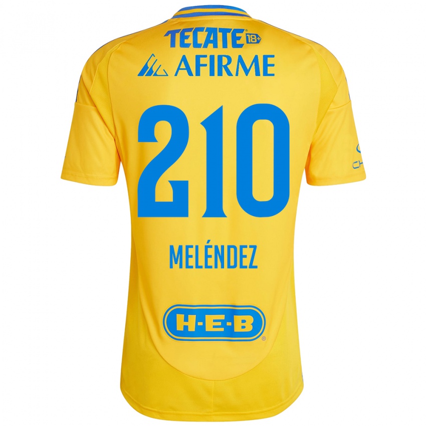 Criança Camisola Marcelo Meléndez #210 Ouro Amarelo Principal 2024/25 Camisa