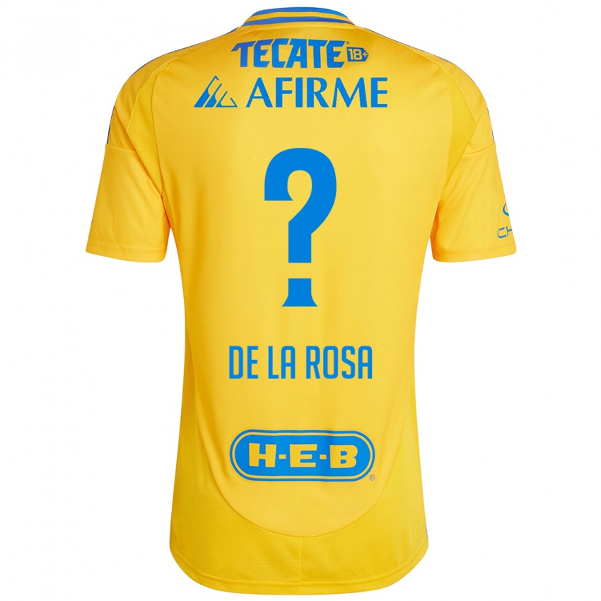 Homem Camisola Luis De La Rosa #0 Ouro Amarelo Principal 2024/25 Camisa