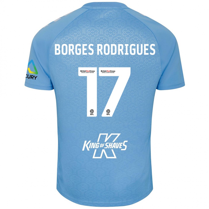 Criança Camisola Raphael Borges Rodrigues #17 Azul Branco Principal 2024/25 Camisa