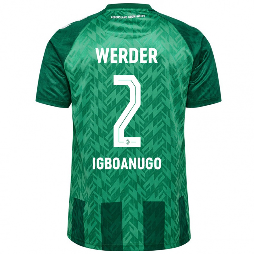 Homem Camisola David Igboanugo #2 Verde Principal 2024/25 Camisa