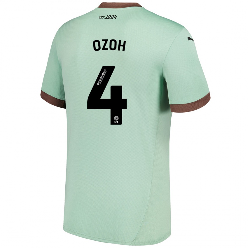 Criança Camisola David Ozoh #4 Verde Claro Alternativa 2024/25 Camisa